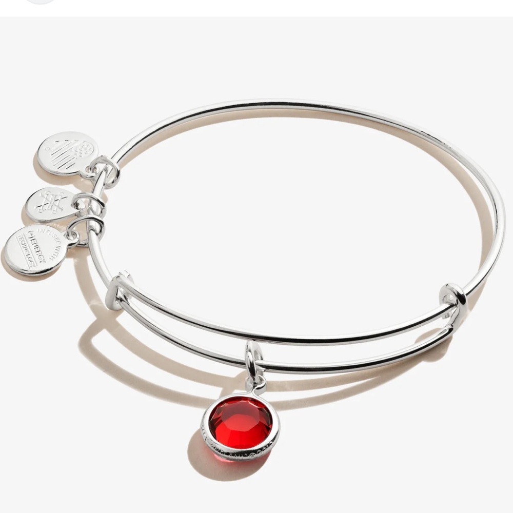 Alex & Ani January Scarlet Birthstone Charm Bangle Red & Silver